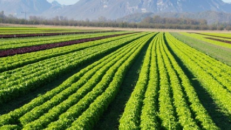 Skema Kombëtare e bujqësisë, aplikimet për fermerët hapen më 14 prill